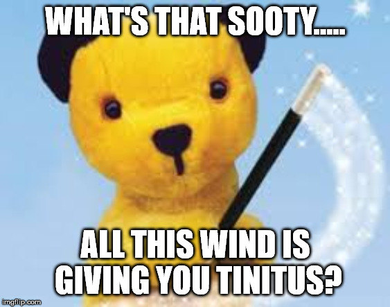 sooty | WHAT'S THAT SOOTY..... ALL THIS WIND IS GIVING YOU TINITUS? | image tagged in sooty | made w/ Imgflip meme maker