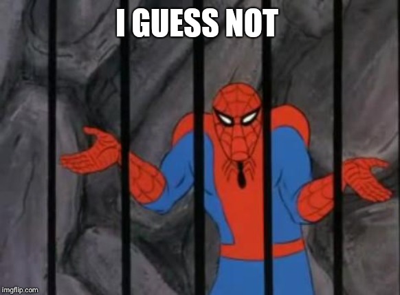 spiderman jail | I GUESS NOT | image tagged in spiderman jail | made w/ Imgflip meme maker