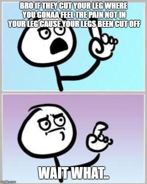 Wait what? | BRO IF THEY CUT YOUR LEG WHERE YOU GONAA FEEL THE PAIN NOT IN YOUR LEG CAUSE YOUR LEGS BEEN CUT OFF; WAIT WHAT.. | image tagged in wait what | made w/ Imgflip meme maker