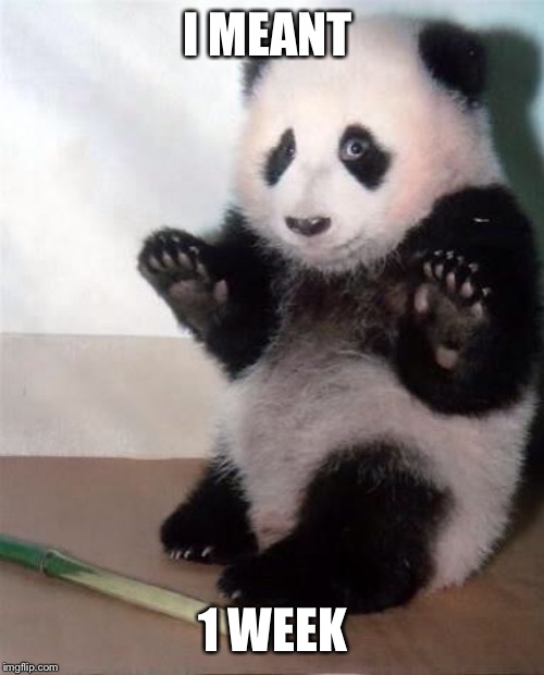 Hands Up panda | I MEANT 1 WEEK | image tagged in hands up panda | made w/ Imgflip meme maker