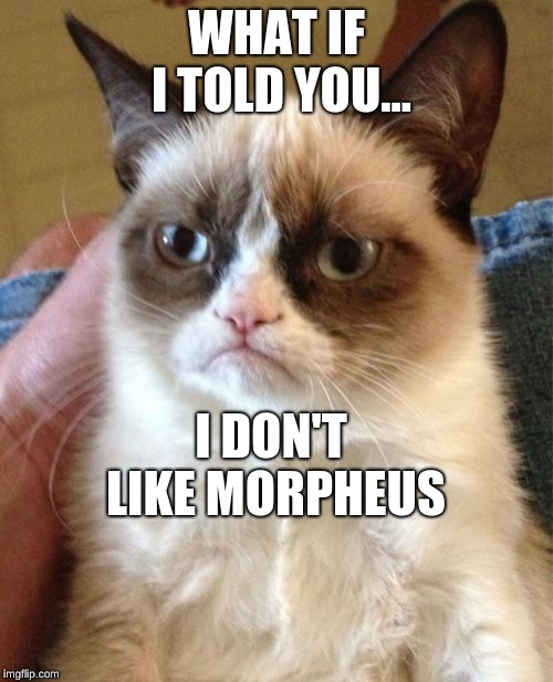 Grumpy Cat | WHAT IF I TOLD YOU... I DON'T LIKE MORPHEUS | image tagged in memes,grumpy cat | made w/ Imgflip meme maker