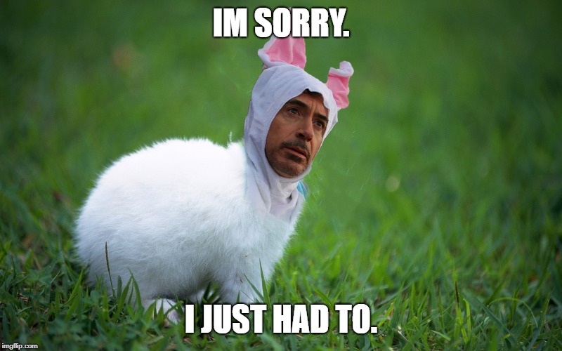 Robert Downey jr. as a freaking rabbit | IM SORRY. I JUST HAD TO. | image tagged in robert downey jr as a freaking rabbit | made w/ Imgflip meme maker