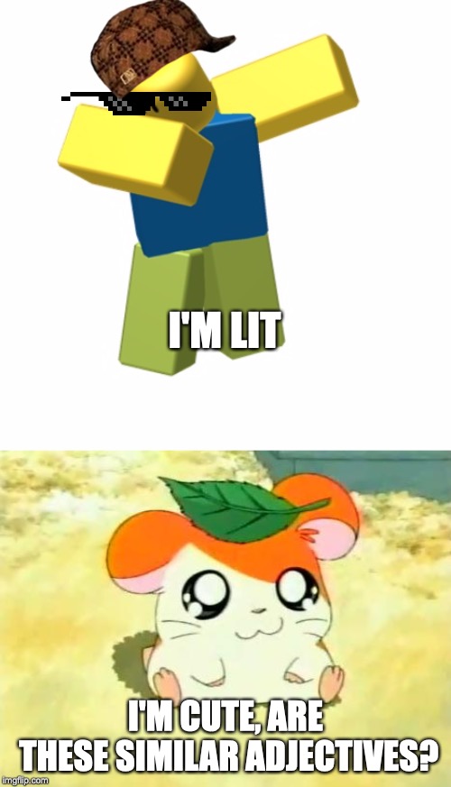 I'M LIT; I'M CUTE, ARE THESE SIMILAR ADJECTIVES? | image tagged in memes,hamtaro,roblox dab | made w/ Imgflip meme maker