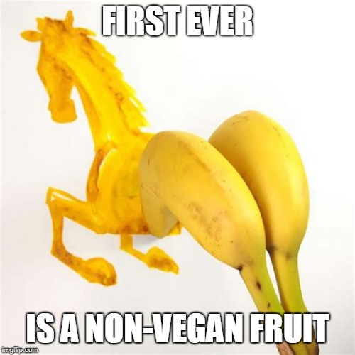 Now that's a fruit I'd eat. | FIRST EVER; IS A NON-VEGAN FRUIT | image tagged in banana horse | made w/ Imgflip meme maker