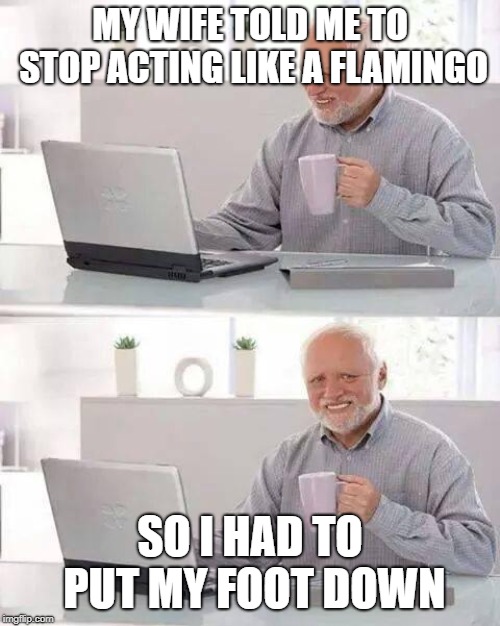 Hide the Pain Harold Meme | MY WIFE TOLD ME TO STOP ACTING LIKE A FLAMINGO; SO I HAD TO PUT MY FOOT DOWN | image tagged in memes,hide the pain harold | made w/ Imgflip meme maker