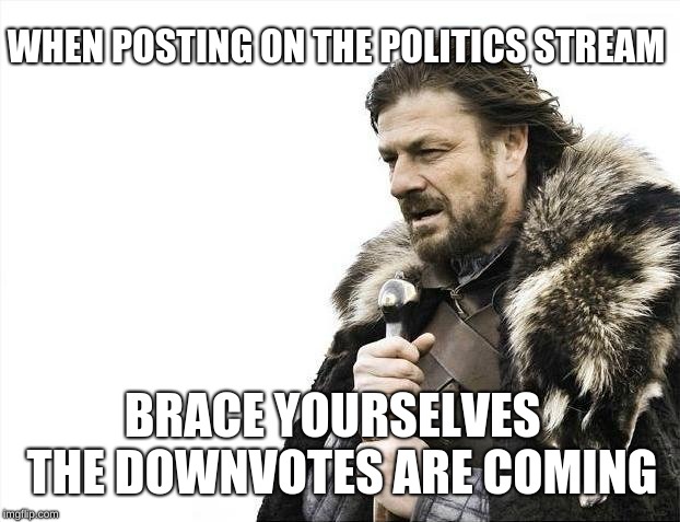 Brace Yourselves X is Coming | WHEN POSTING ON THE POLITICS STREAM; BRACE YOURSELVES  THE DOWNVOTES ARE COMING | image tagged in memes,brace yourselves x is coming | made w/ Imgflip meme maker