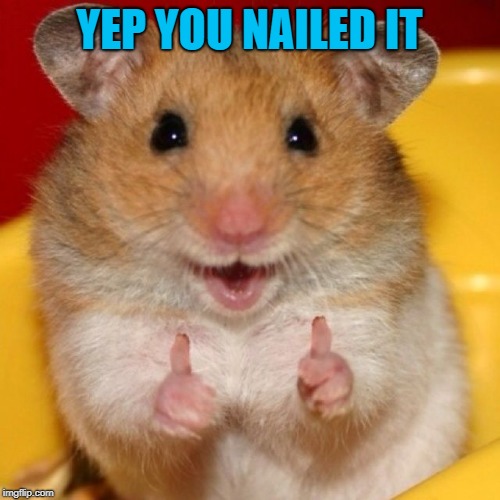 thumbs up | YEP YOU NAILED IT | image tagged in thumbs up | made w/ Imgflip meme maker