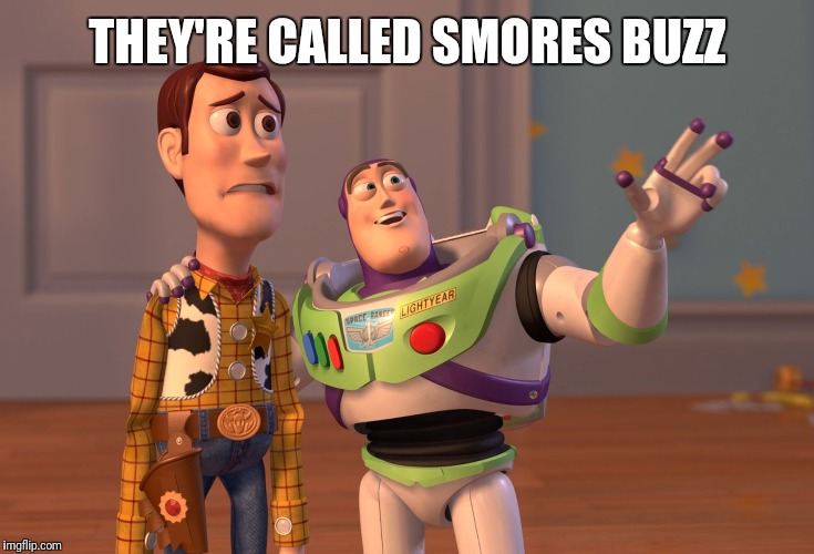 X, X Everywhere Meme | THEY'RE CALLED SMORES BUZZ | image tagged in memes,x x everywhere | made w/ Imgflip meme maker