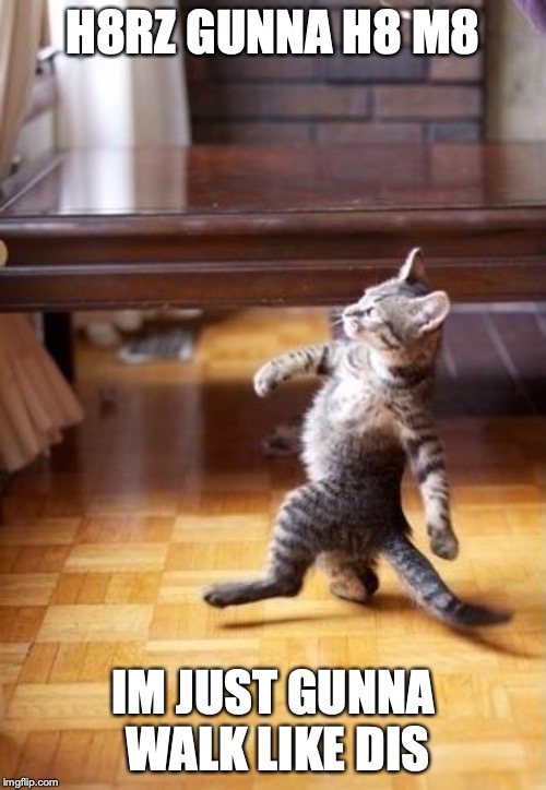 Cool Cat Stroll Meme | H8RZ GUNNA H8 M8; IM JUST GUNNA WALK LIKE DIS | image tagged in memes,cool cat stroll | made w/ Imgflip meme maker