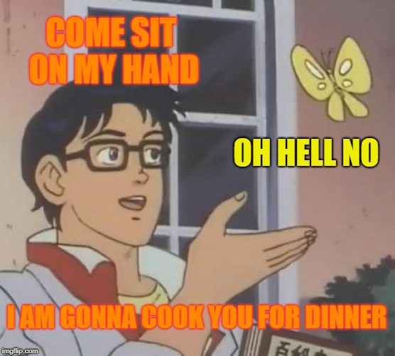 BUTTerfly | COME SIT ON MY HAND; OH HELL NO; I AM GONNA COOK YOU FOR DINNER | image tagged in memes,is this a pigeon,how about no bear | made w/ Imgflip meme maker