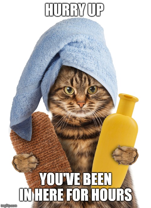 HURRY UP YOU'VE BEEN IN HERE FOR HOURS | made w/ Imgflip meme maker