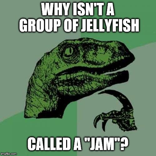 Philosoraptor | WHY ISN'T A GROUP OF JELLYFISH; CALLED A "JAM"? | image tagged in memes,philosoraptor | made w/ Imgflip meme maker