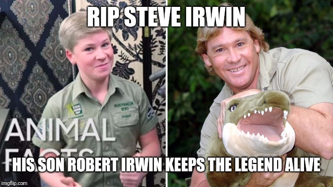 RIP STEVE IRWIN HIS SON ROBERT IRWIN KEEPS THE LEGEND ALIVE | image tagged in robert irwin | made w/ Imgflip meme maker