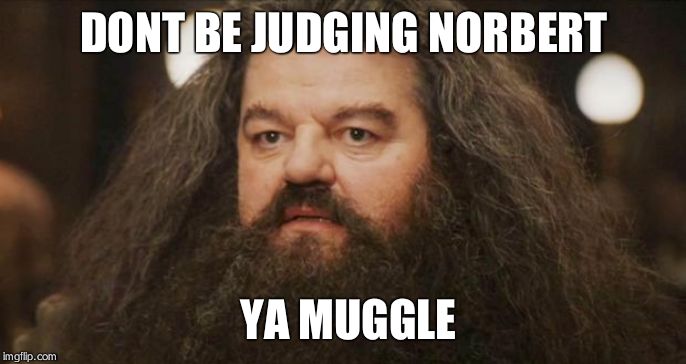 Hagrid | DONT BE JUDGING NORBERT YA MUGGLE | image tagged in hagrid | made w/ Imgflip meme maker