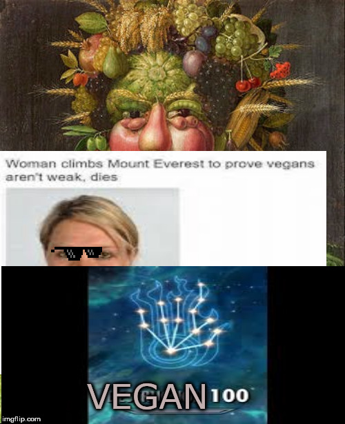 Misunderstood Vegan | VEGAN | image tagged in skyrim,veganism,fruit,destruction | made w/ Imgflip meme maker