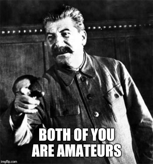 Stalin | BOTH OF YOU ARE AMATEURS | image tagged in stalin | made w/ Imgflip meme maker