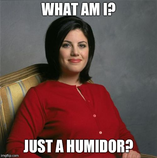 Monica Lewinsky  | WHAT AM I? JUST A HUMIDOR? | image tagged in monica lewinsky | made w/ Imgflip meme maker