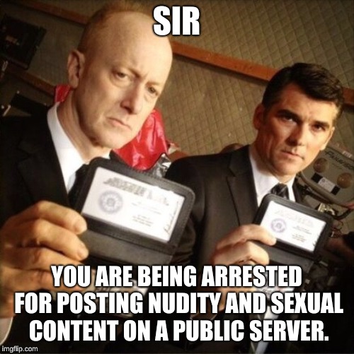 FBI | SIR YOU ARE BEING ARRESTED FOR POSTING NUDITY AND SEXUAL CONTENT ON A PUBLIC SERVER. | image tagged in fbi | made w/ Imgflip meme maker