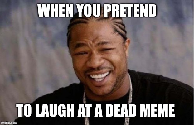 Yo Dawg Heard You Meme | WHEN YOU PRETEND; TO LAUGH AT A DEAD MEME | image tagged in memes,yo dawg heard you | made w/ Imgflip meme maker