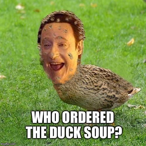 The Data Ducky | WHO ORDERED THE DUCK SOUP? | image tagged in the data ducky | made w/ Imgflip meme maker