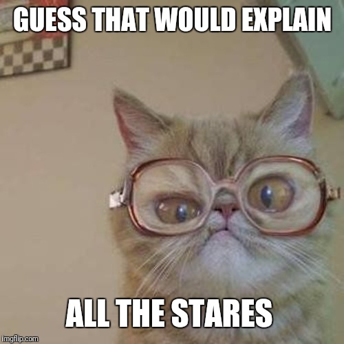 Funny Cat with Glasses | GUESS THAT WOULD EXPLAIN ALL THE STARES | image tagged in funny cat with glasses | made w/ Imgflip meme maker