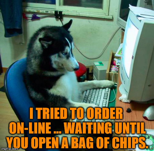 I Have No Idea What I Am Doing Meme | I TRIED TO ORDER ON-LINE ... WAITING UNTIL YOU OPEN A BAG OF CHIPS. | image tagged in memes,i have no idea what i am doing | made w/ Imgflip meme maker