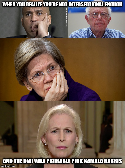 WHEN YOU REALIZE YOU'RE NOT INTERSECTIONAL ENOUGH; AND THE DNC WILL PROBABLY PICK KAMALA HARRIS | image tagged in bernie sanders,elizabeth warren,cory booker | made w/ Imgflip meme maker
