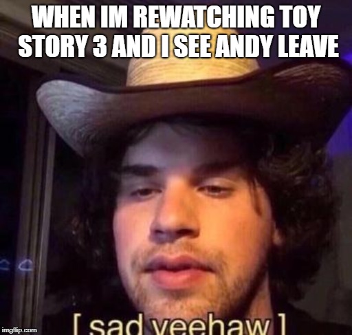 WHEN IM REWATCHING TOY STORY 3 AND I SEE ANDY LEAVE | image tagged in toy story,memes | made w/ Imgflip meme maker