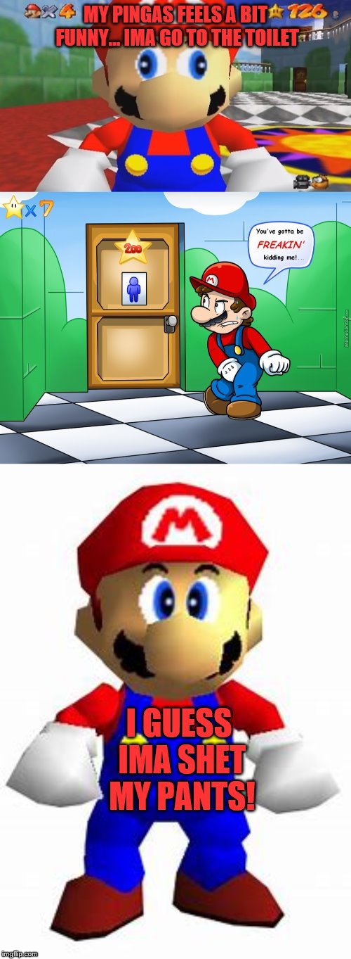 Mario goes to the bathroom to take a po-po | MY PINGAS FEELS A BIT FUNNY... IMA GO TO THE TOILET; I GUESS IMA SHET MY PANTS! | image tagged in smg4 retarded mario,smg4,mario,super mario,super mario 64,potty | made w/ Imgflip meme maker