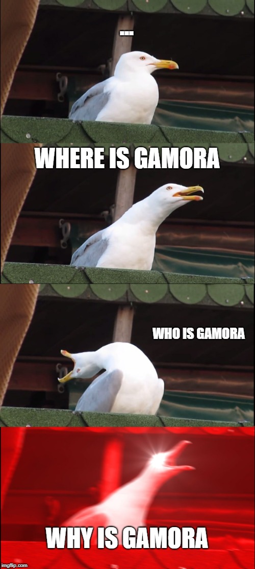 Inhaling Seagull | ... WHERE IS GAMORA; WHO IS GAMORA; WHY IS GAMORA | image tagged in memes,inhaling seagull | made w/ Imgflip meme maker