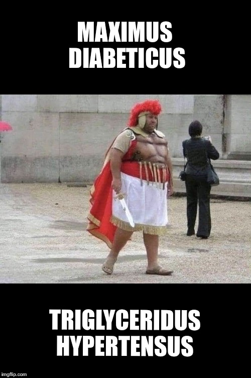 MAXIMUS DIABETICUS; TRIGLYCERIDUS HYPERTENSUS | image tagged in fat gladiator | made w/ Imgflip meme maker