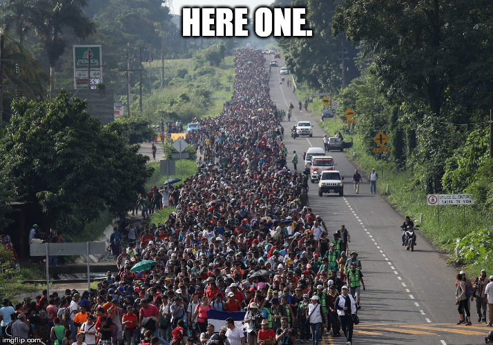 Migrant Caravan | HERE ONE. | image tagged in migrant caravan | made w/ Imgflip meme maker