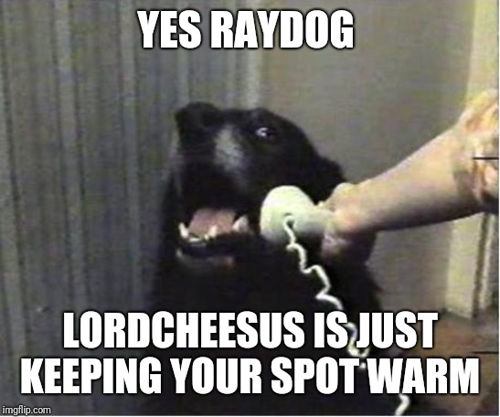 Yes this is dog | YES RAYDOG LORDCHEESUS IS JUST KEEPING YOUR SPOT WARM | image tagged in yes this is dog | made w/ Imgflip meme maker