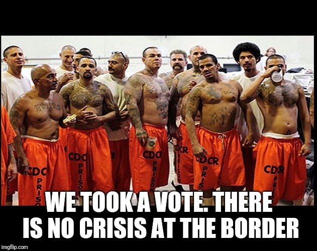 Illegal Aliens for Real | WE TOOK A VOTE. THERE IS NO CRISIS AT THE BORDER | image tagged in illegal aliens for real | made w/ Imgflip meme maker