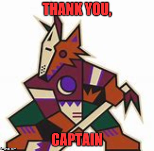 thank you for the 21 years of being a hockey hero | THANK YOU, CAPTAIN | image tagged in hockey | made w/ Imgflip meme maker