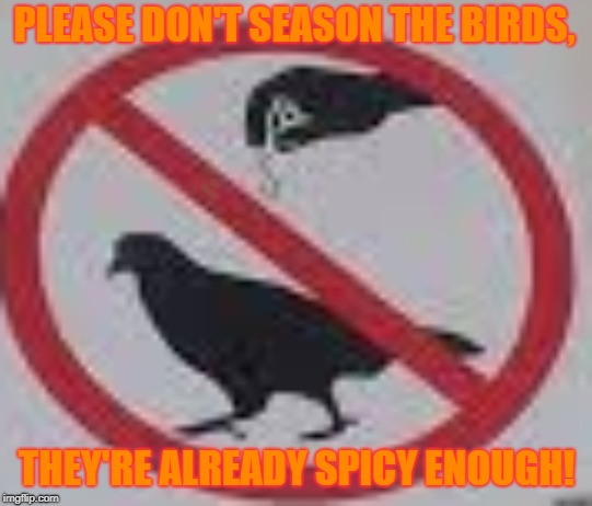 Do not eat birds if you want them plain! :/ | PLEASE DON'T SEASON THE BIRDS, Not a copy! THEY'RE ALREADY SPICY ENOUGH! | image tagged in idk | made w/ Imgflip meme maker