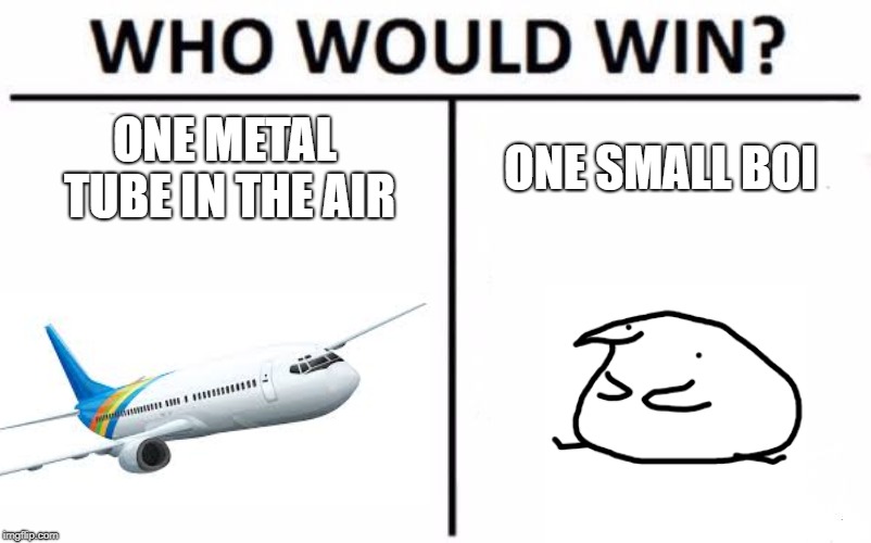Who Would Win? Meme | ONE METAL TUBE IN THE AIR; ONE SMALL BOI | image tagged in memes,who would win | made w/ Imgflip meme maker