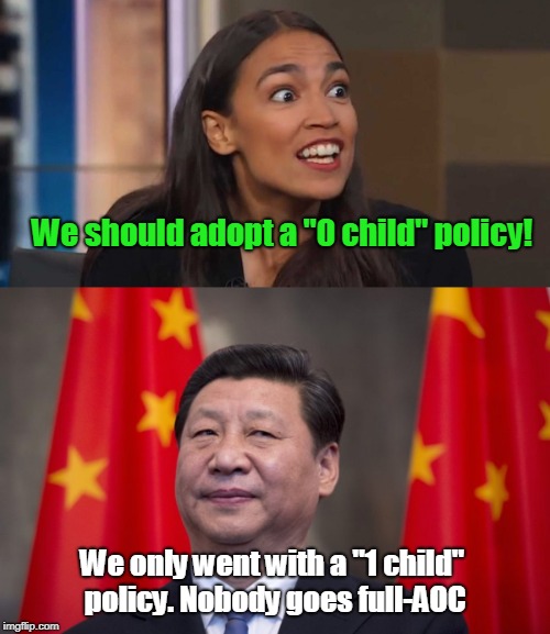 Nobody Goes -100% Population Growth. | We should adopt a "0 child" policy! We only went with a "1 child" policy. Nobody goes full-AOC | image tagged in lizard woman aoc,xi,child policy,funny | made w/ Imgflip meme maker