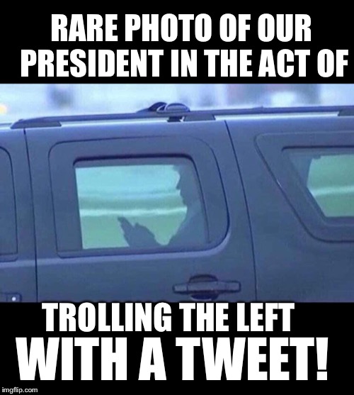 Trump trolls the left!  MAGA!! | RARE PHOTO OF OUR PRESIDENT IN THE ACT OF; TROLLING THE LEFT; WITH A TWEET! | image tagged in maga | made w/ Imgflip meme maker