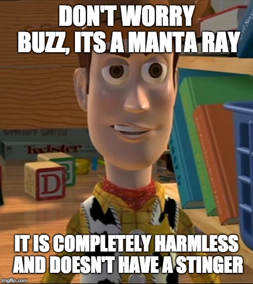 DON'T WORRY BUZZ, ITS A MANTA RAY IT IS COMPLETELY HARMLESS AND DOESN'T HAVE A STINGER | made w/ Imgflip meme maker