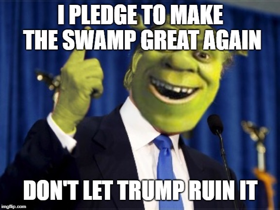 Shrek For President | I PLEDGE TO MAKE THE SWAMP GREAT AGAIN; DON'T LET TRUMP RUIN IT | image tagged in shrek for president | made w/ Imgflip meme maker