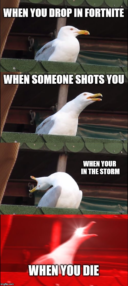 Inhaling Seagull Meme | WHEN YOU DROP IN FORTNITE; WHEN SOMEONE SHOTS YOU; WHEN YOUR IN THE STORM; WHEN YOU DIE | image tagged in memes,inhaling seagull | made w/ Imgflip meme maker