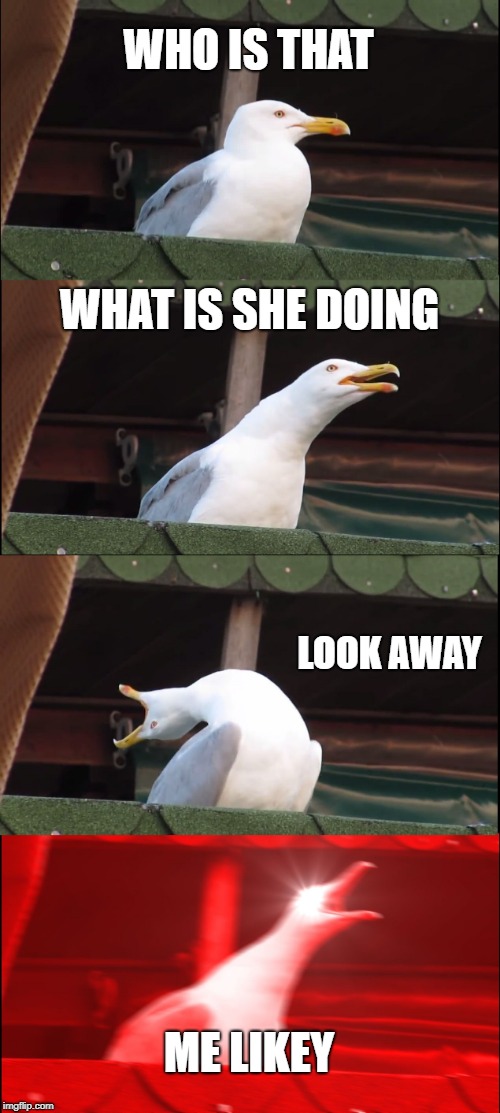 Inhaling Seagull |  WHO IS THAT; WHAT IS SHE DOING; LOOK AWAY; ME LIKEY | image tagged in memes,inhaling seagull | made w/ Imgflip meme maker