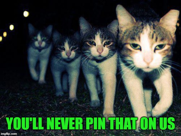 Wrong Neighboorhood Cats Meme | YOU'LL NEVER PIN THAT ON US | image tagged in memes,wrong neighboorhood cats | made w/ Imgflip meme maker