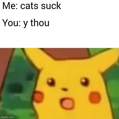 Surprised Pikachu | Me: cats suck; You: y thou | image tagged in memes,surprised pikachu | made w/ Imgflip meme maker
