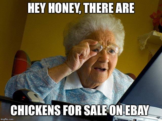 Grandma Finds The Internet Meme | HEY HONEY, THERE ARE; CHICKENS FOR SALE ON EBAY | image tagged in memes,grandma finds the internet | made w/ Imgflip meme maker