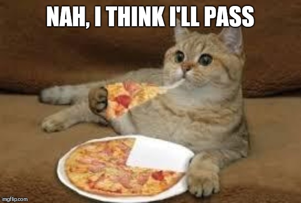 cat eats pizza | NAH, I THINK I'LL PASS | image tagged in cat eats pizza | made w/ Imgflip meme maker