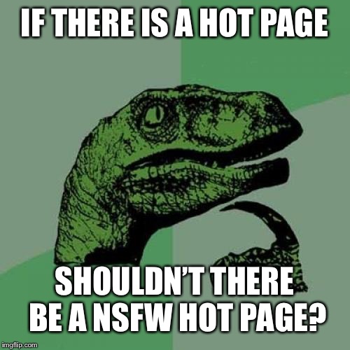 Philosoraptor | IF THERE IS A HOT PAGE; SHOULDN’T THERE BE A NSFW HOT PAGE? | image tagged in memes,philosoraptor | made w/ Imgflip meme maker