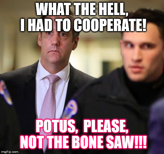 Not the BONE SAW! | WHAT THE HELL, I HAD TO COOPERATE! POTUS,  PLEASE, NOT THE BONE SAW!!! | image tagged in michael cohen,potus,trump,republicans,fixed,fake news | made w/ Imgflip meme maker