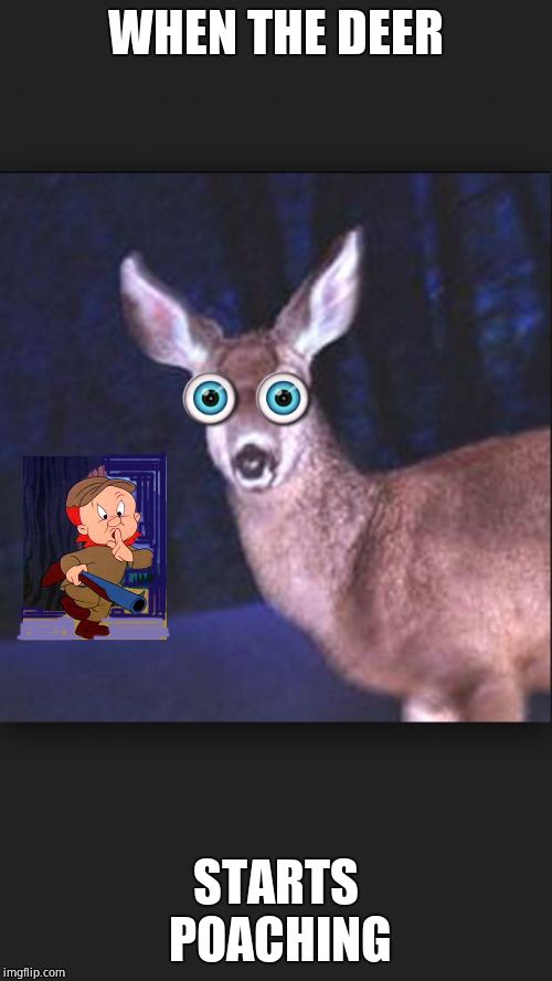 deer in headlights | WHEN THE DEER STARTS POACHING | image tagged in deer in headlights | made w/ Imgflip meme maker